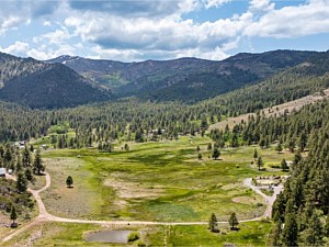The Meadow West